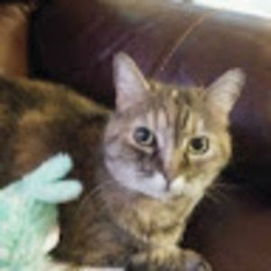 Meet your Posher, Connie